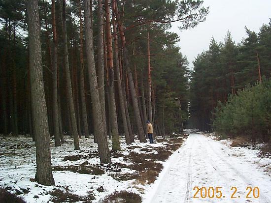 Grünkohlwanderung 2005