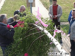 Einholen des Maibaumes 2004